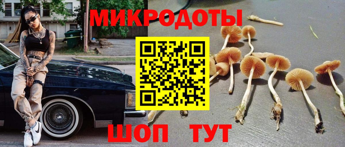 Псилоцибиновые грибы Psilocybe  Вход с VPN  Красный Сулин 