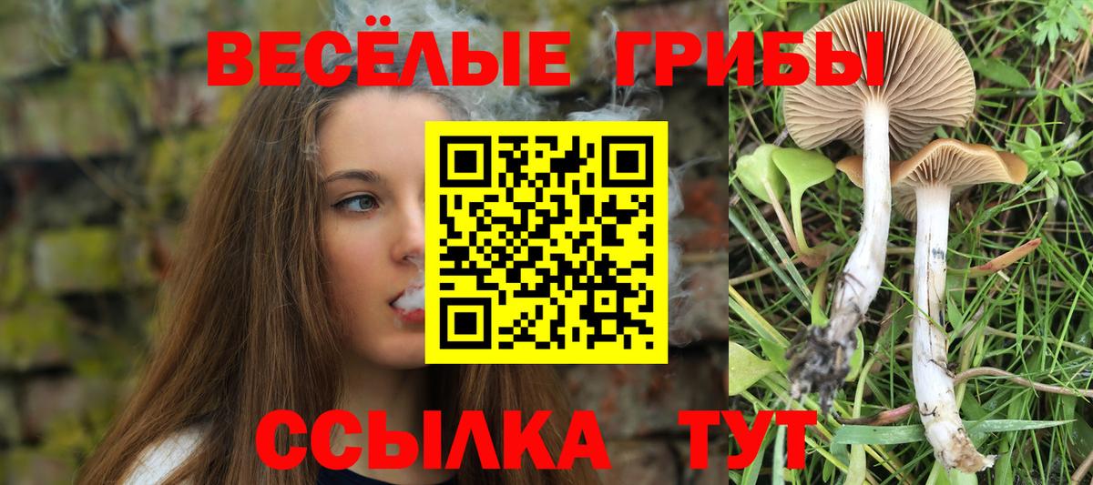 Псилоцибиновые грибы GOLDEN TEACHER Красный Сулин