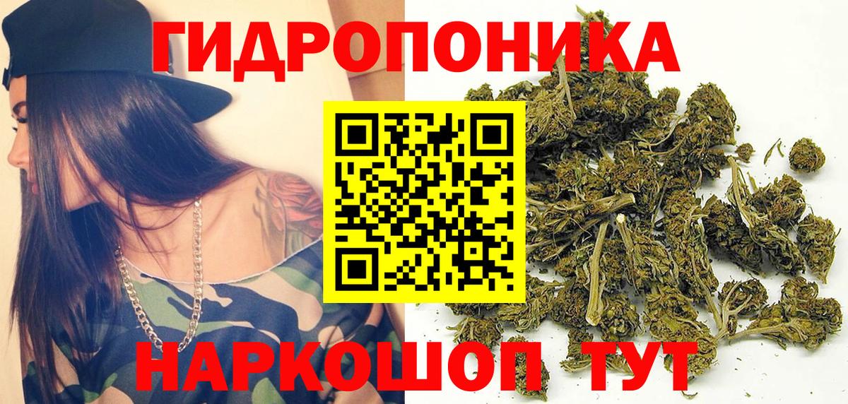 Марихуана OG Kush  Марихуана сатива  Вход с VPN  Красный Сулин 